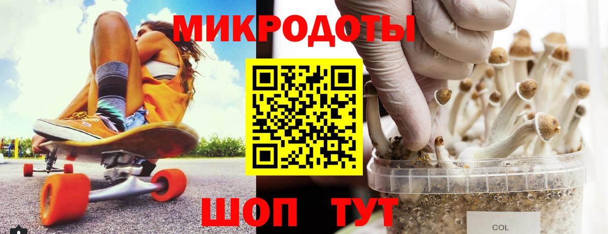 Псилоцибиновые грибы Cubensis Ковров