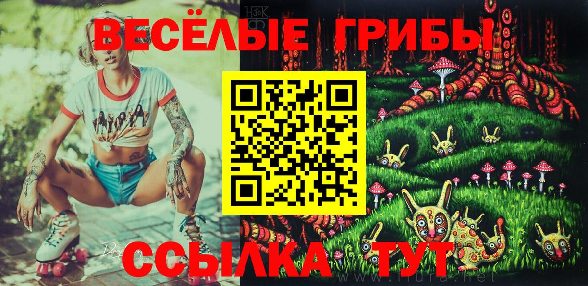 Ковров  Псилоцибиновые грибы Cubensis  Вход с VPN 